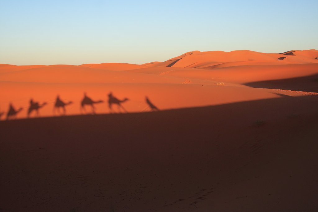 12-The shadow of our camels.jpg - The shadow of our camels